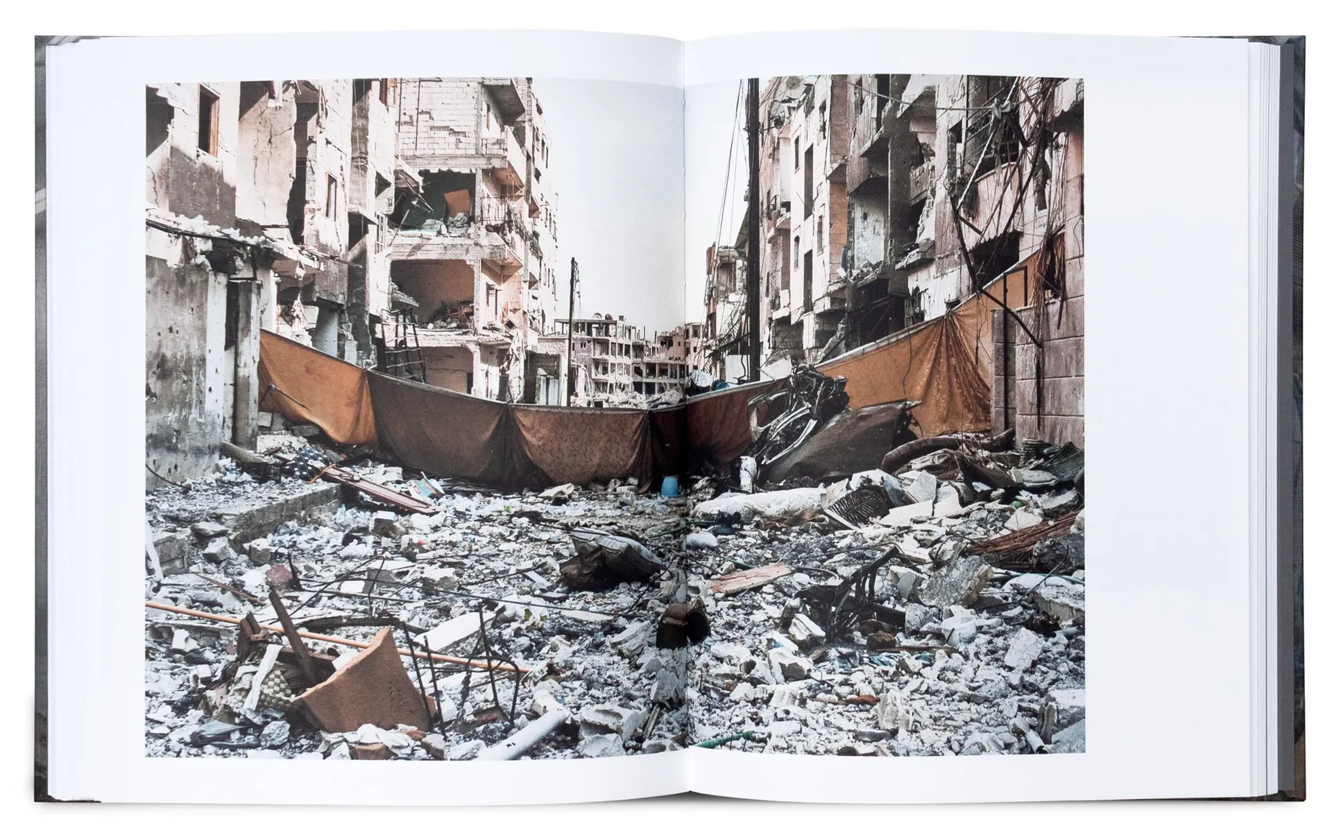 That Thing That Never Vanished image 4