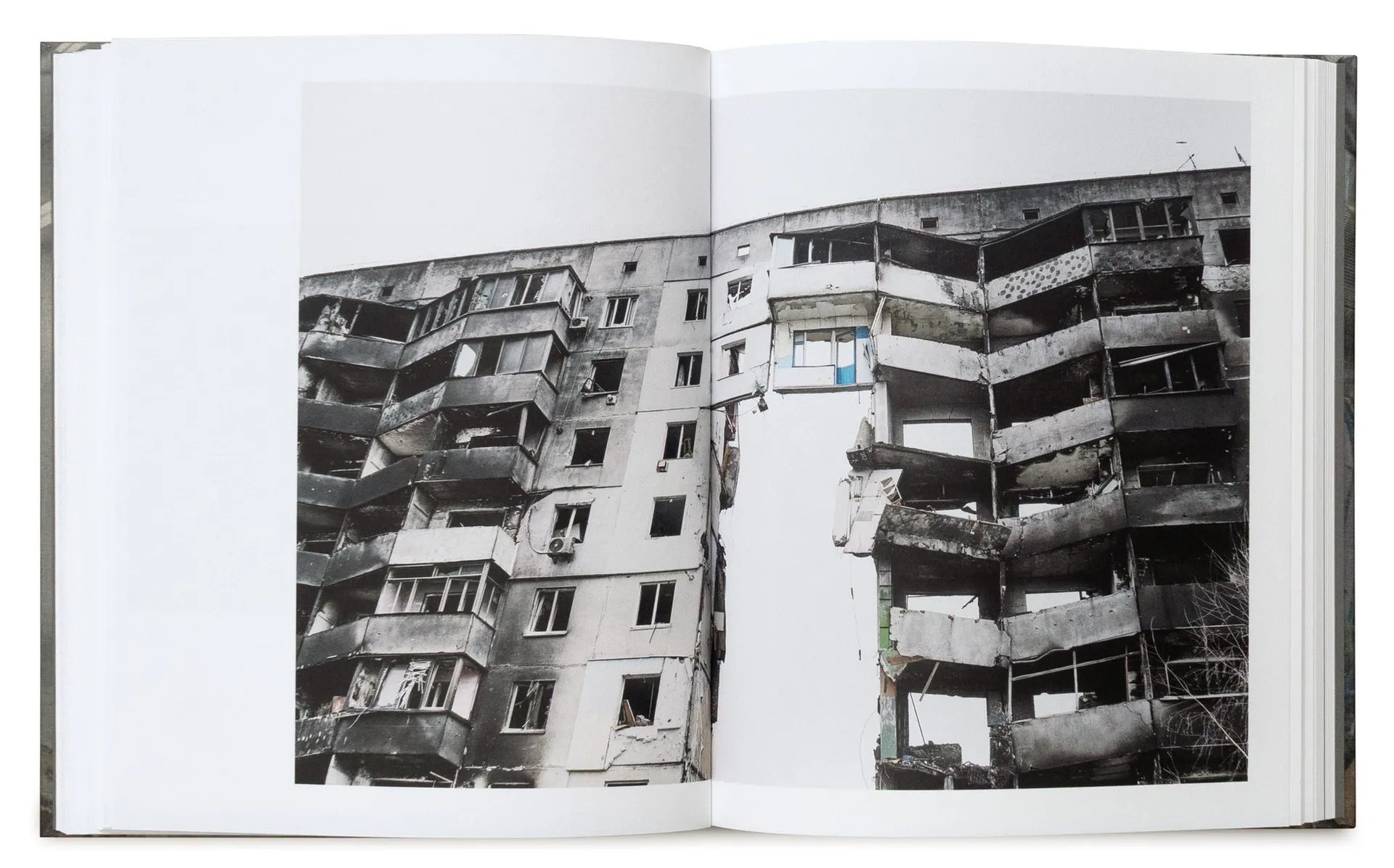 That Thing That Never Vanished image 6