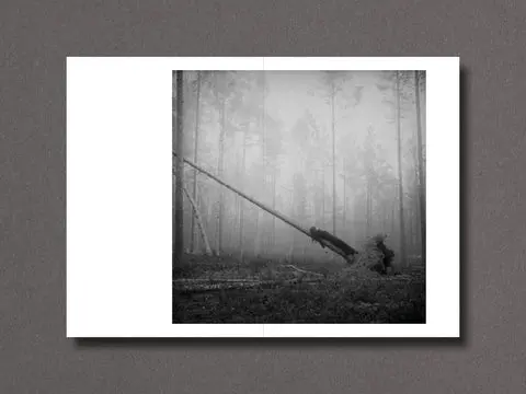 026 - Nathalie Ericson image 9