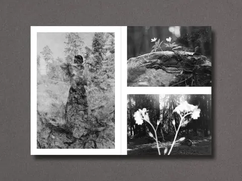 026 - Nathalie Ericson image 10