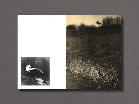 026 - Nathalie Ericson image 11