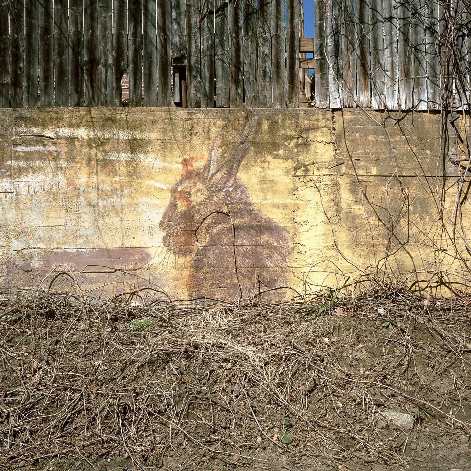 Perpetual Care image 10