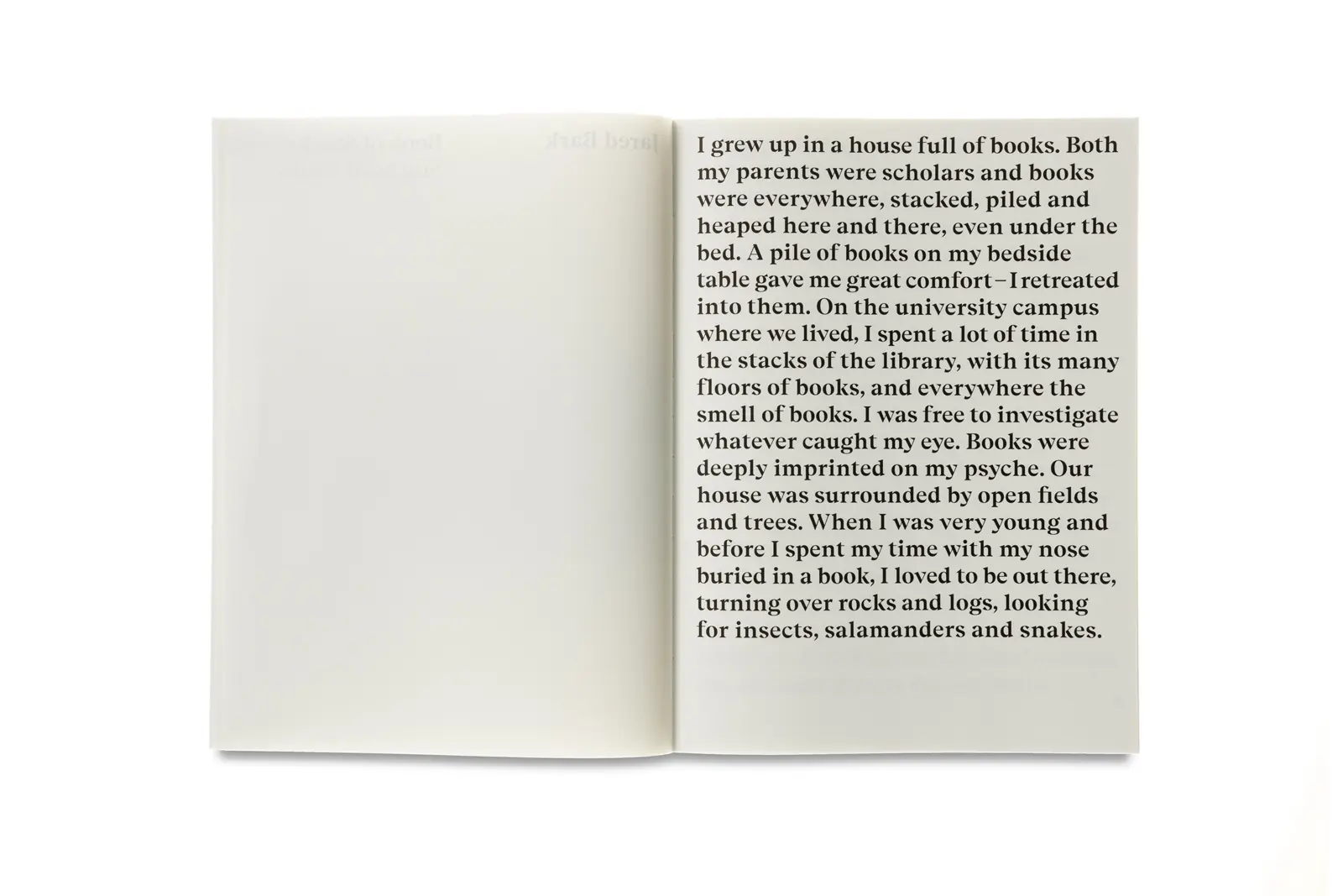 Book of stacks, Stacks of books image 2