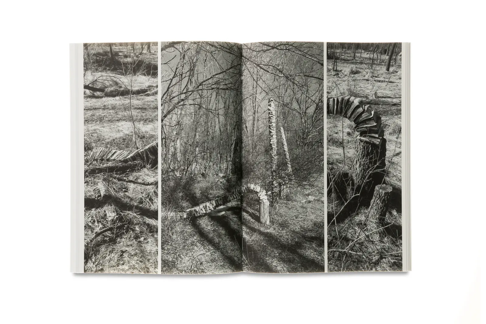 Book of stacks, Stacks of books image 4