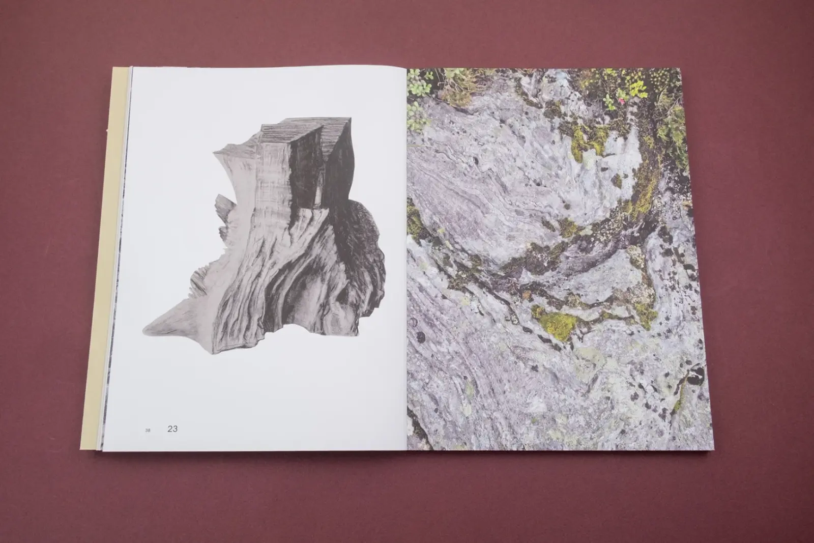 Sharing the Land image 3