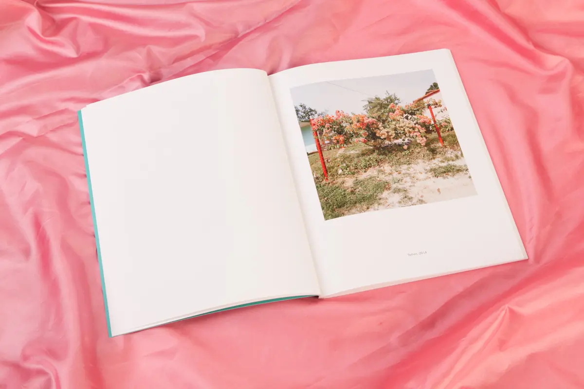 Casa de fruta y pan image 2