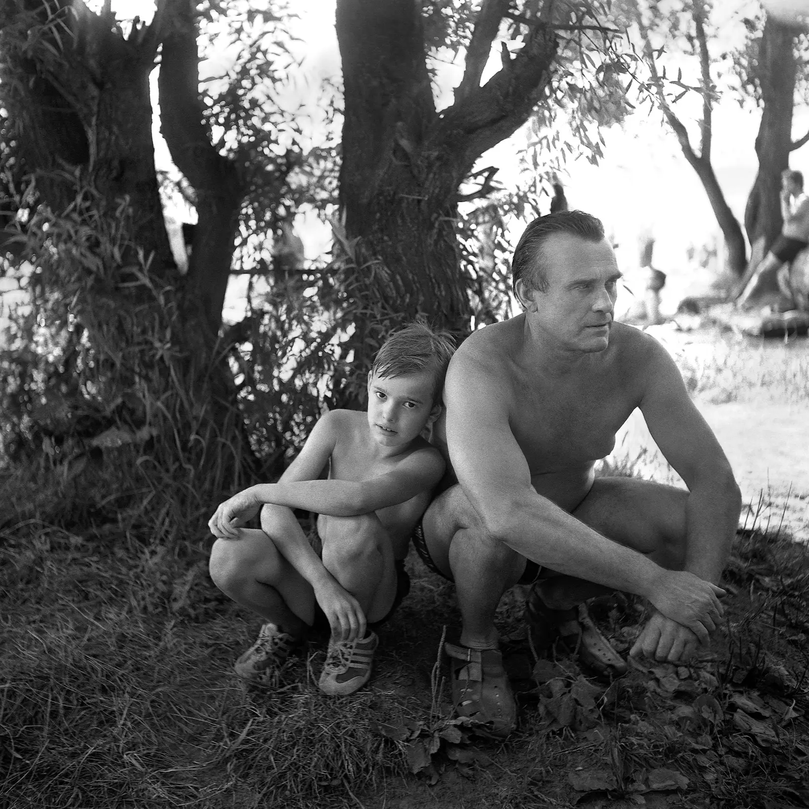 Cheryomushki image 11