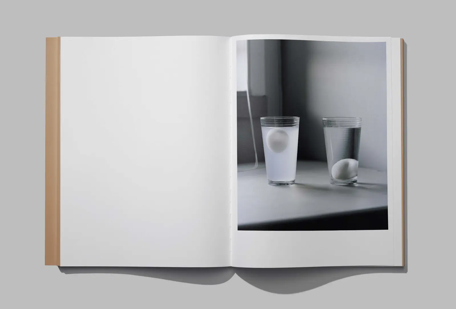 Earth Not A Globe image 2