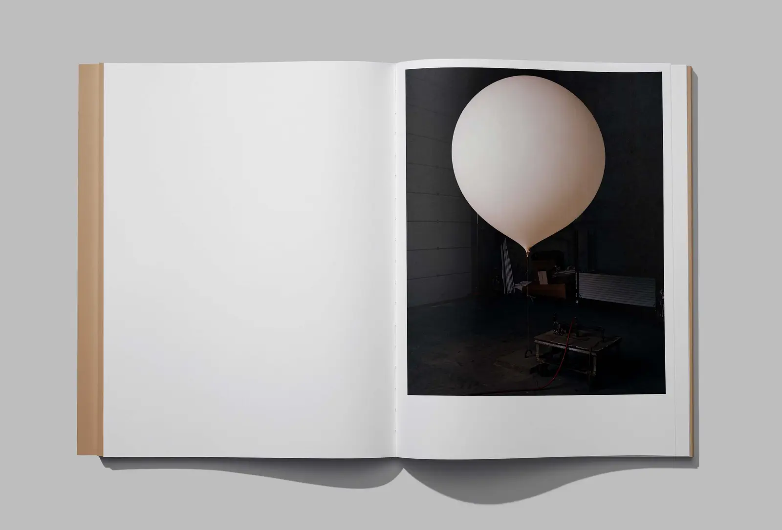 Earth Not A Globe image 3