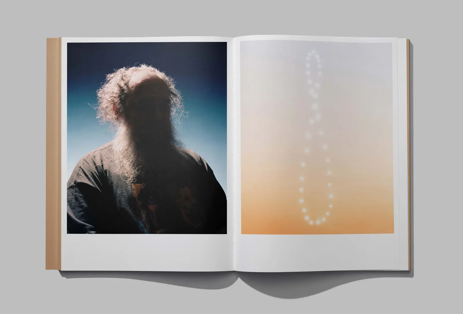 Earth Not A Globe image 4