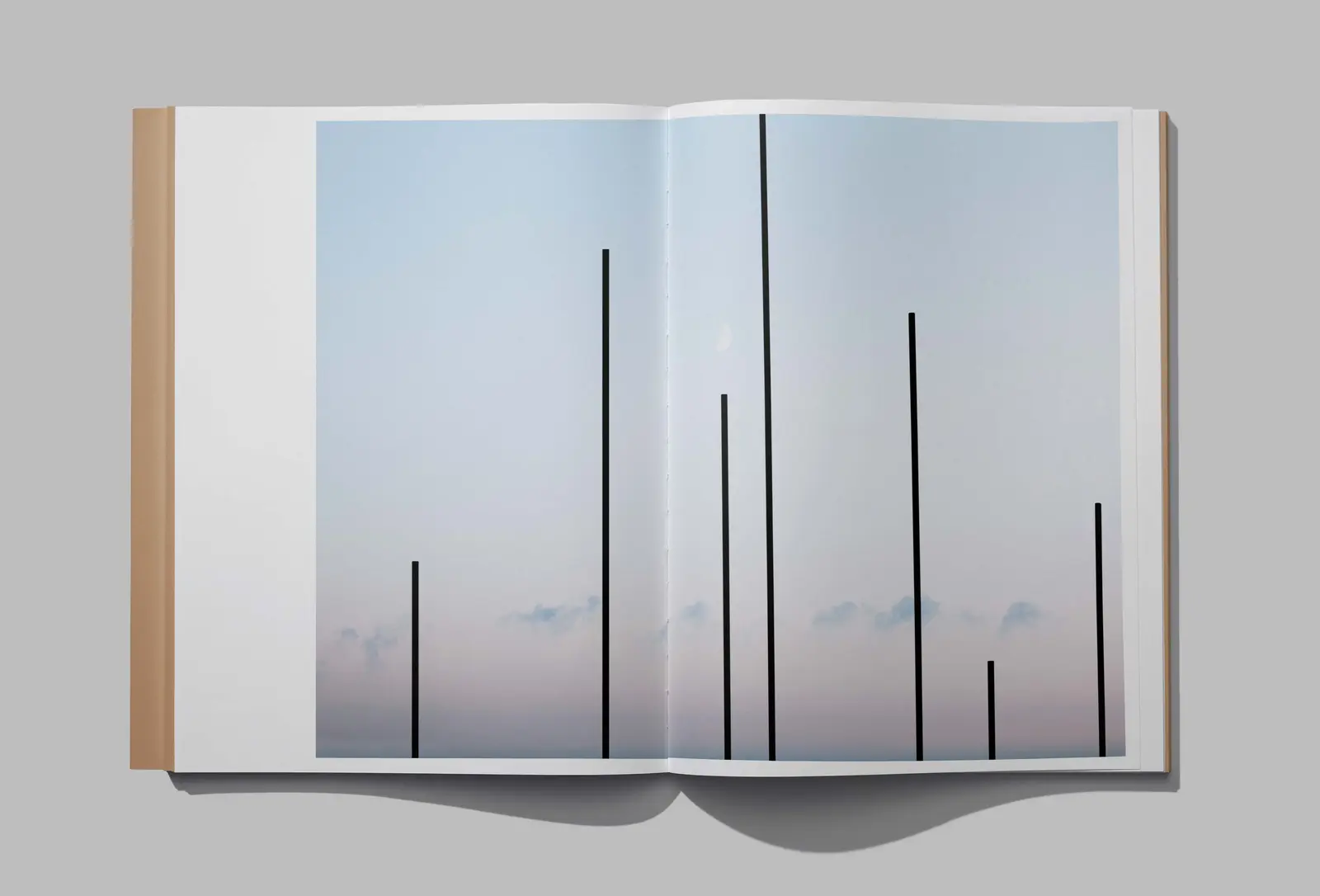 Earth Not A Globe image 5