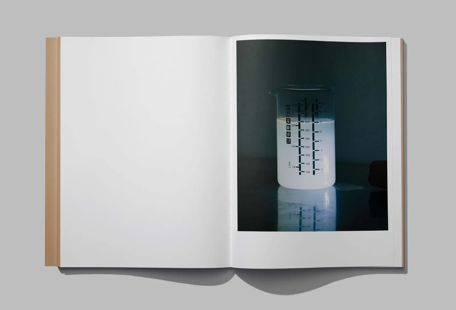 Earth Not A Globe image 7