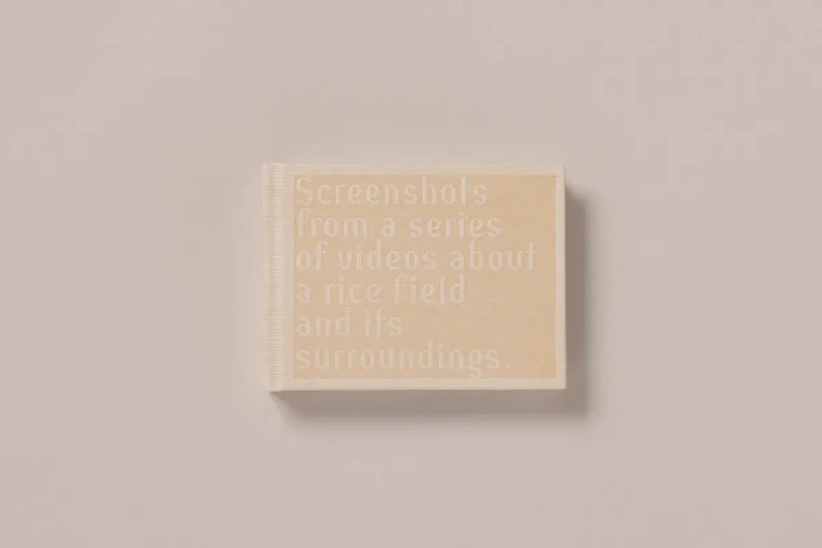 Screenshots from a series of videos about a rice field and its surroundings