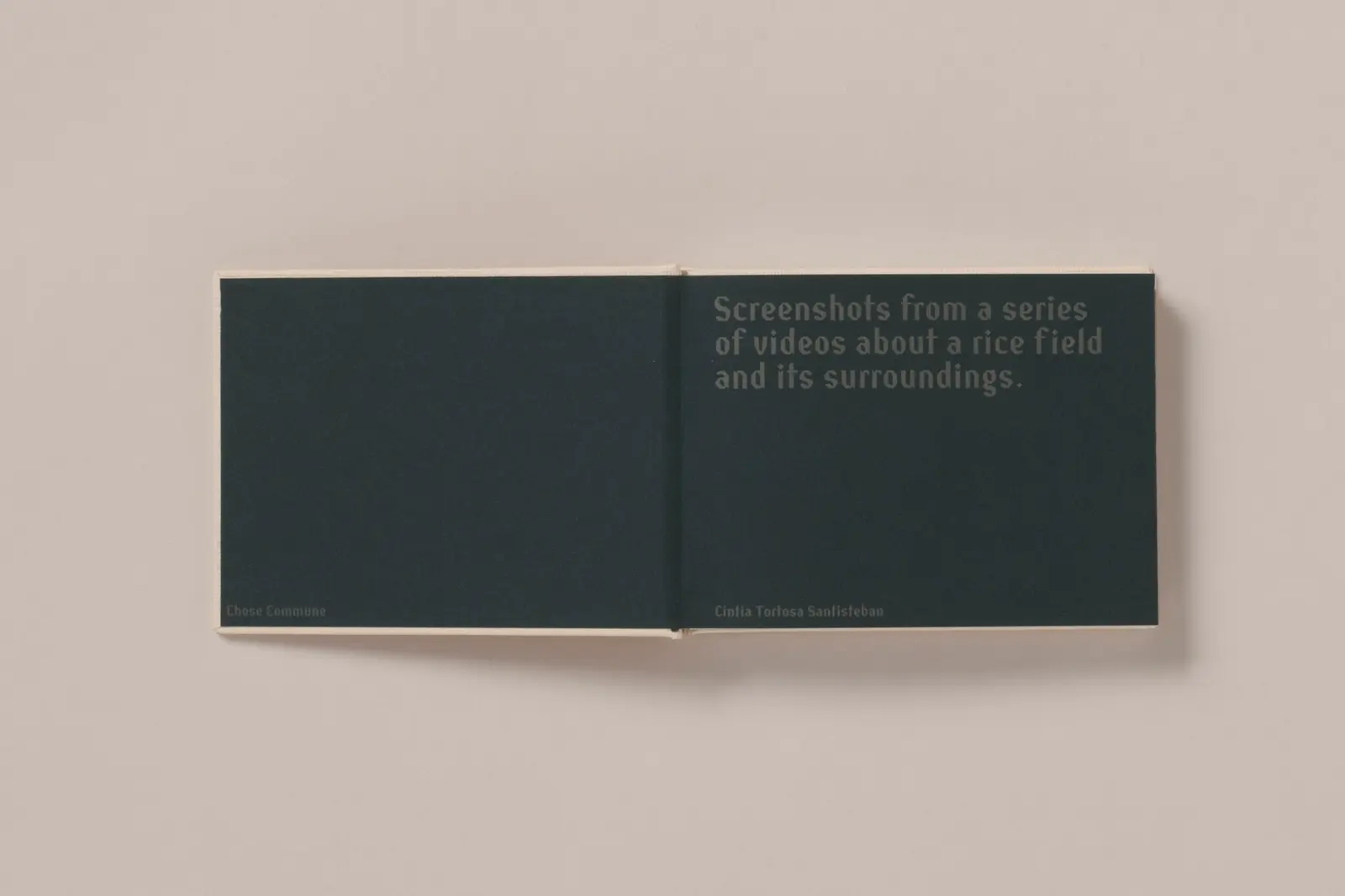 Screenshots from a series of videos about a rice field and its surroundings image 2