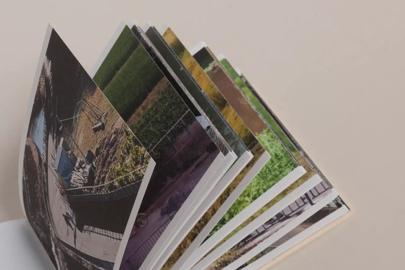 Screenshots from a series of videos about a rice field and its surroundings image 4