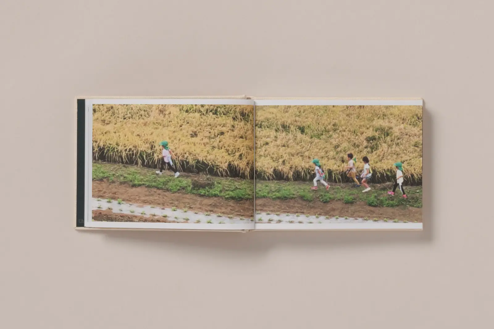 Screenshots from a series of videos about a rice field and its surroundings image 7