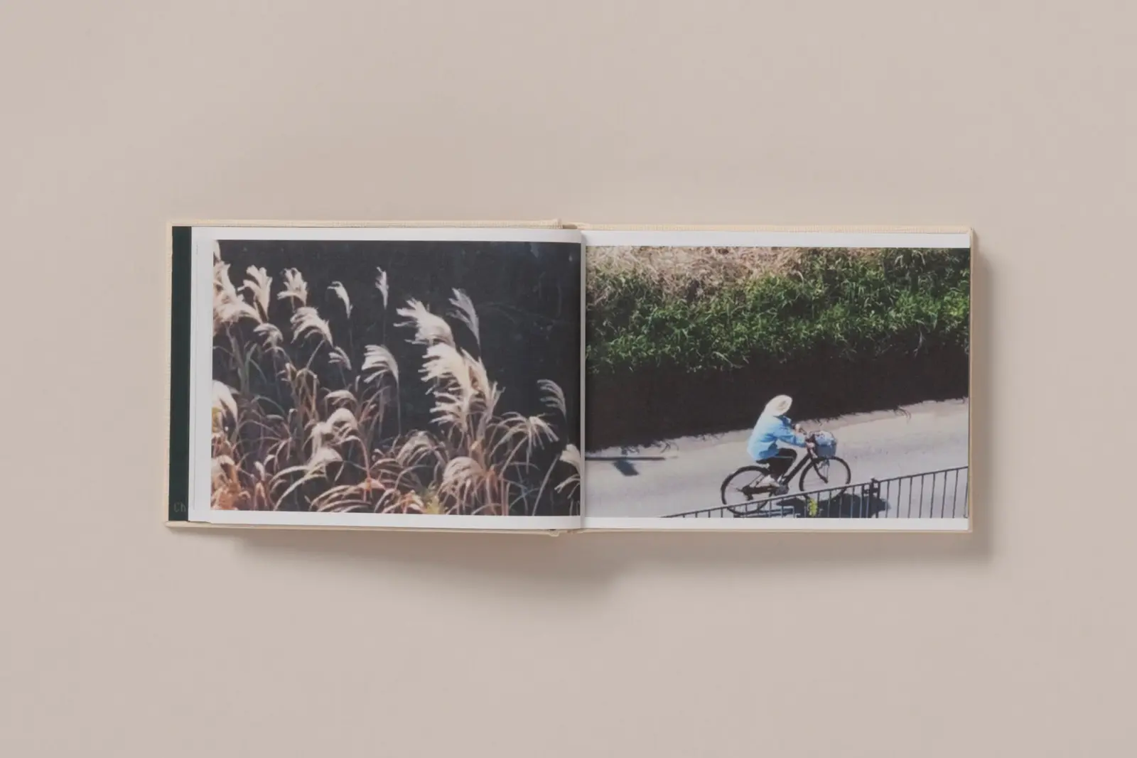 Screenshots from a series of videos about a rice field and its surroundings image 9