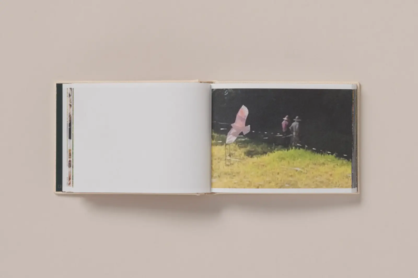 Screenshots from a series of videos about a rice field and its surroundings image 11