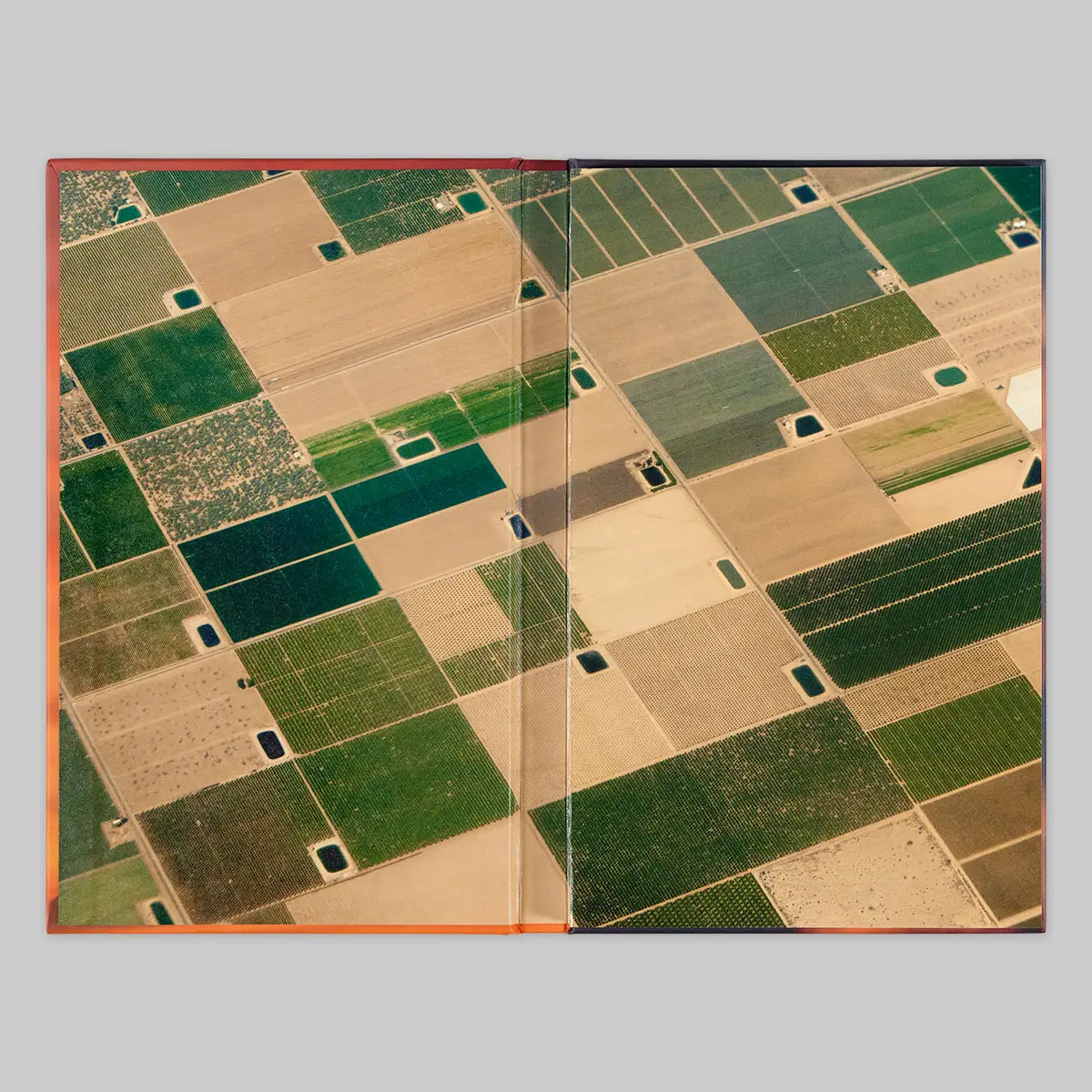 Up Here I Am Weightless image 2