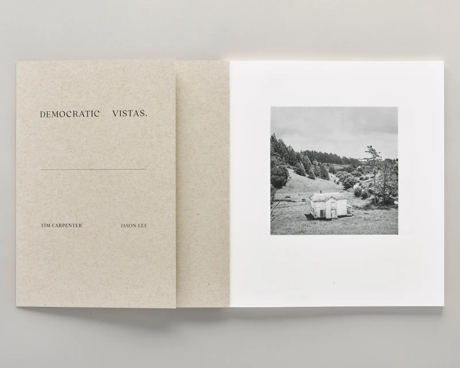 Democratic Vistas image 2