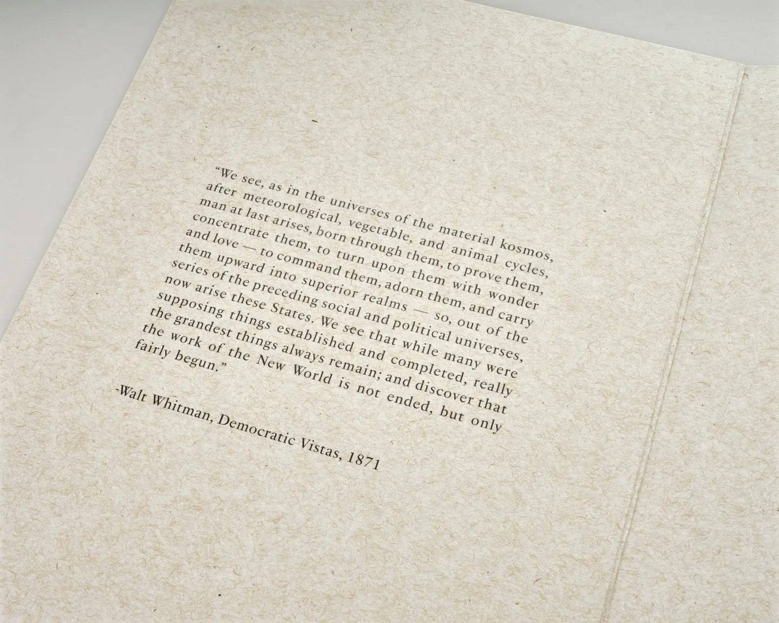 Democratic Vistas image 3