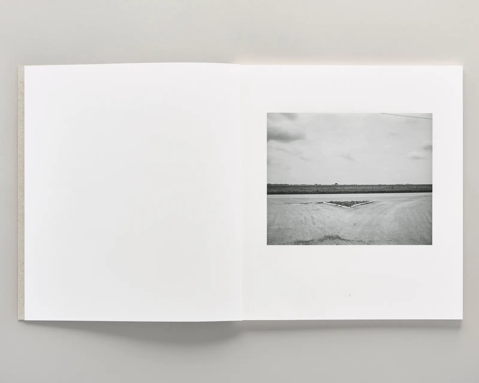 Democratic Vistas image 4