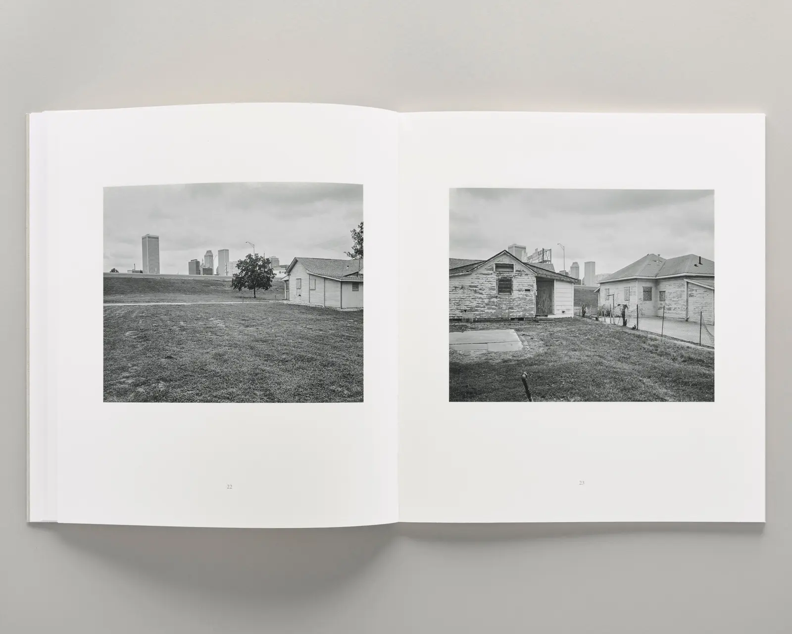 Democratic Vistas image 5