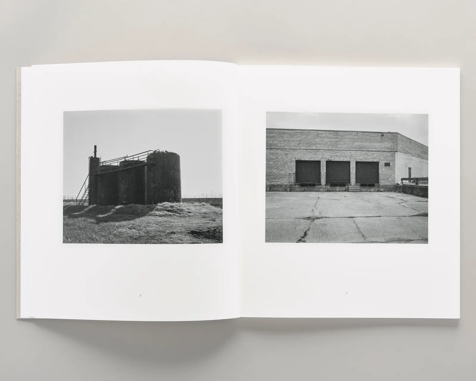 Democratic Vistas image 6