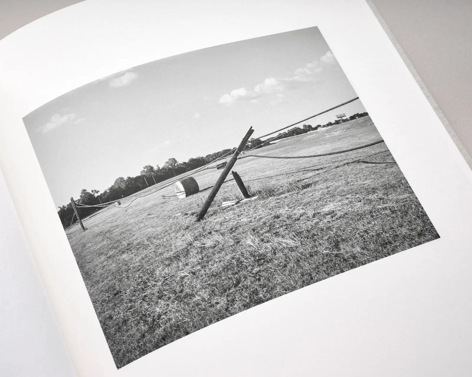 Democratic Vistas image 7