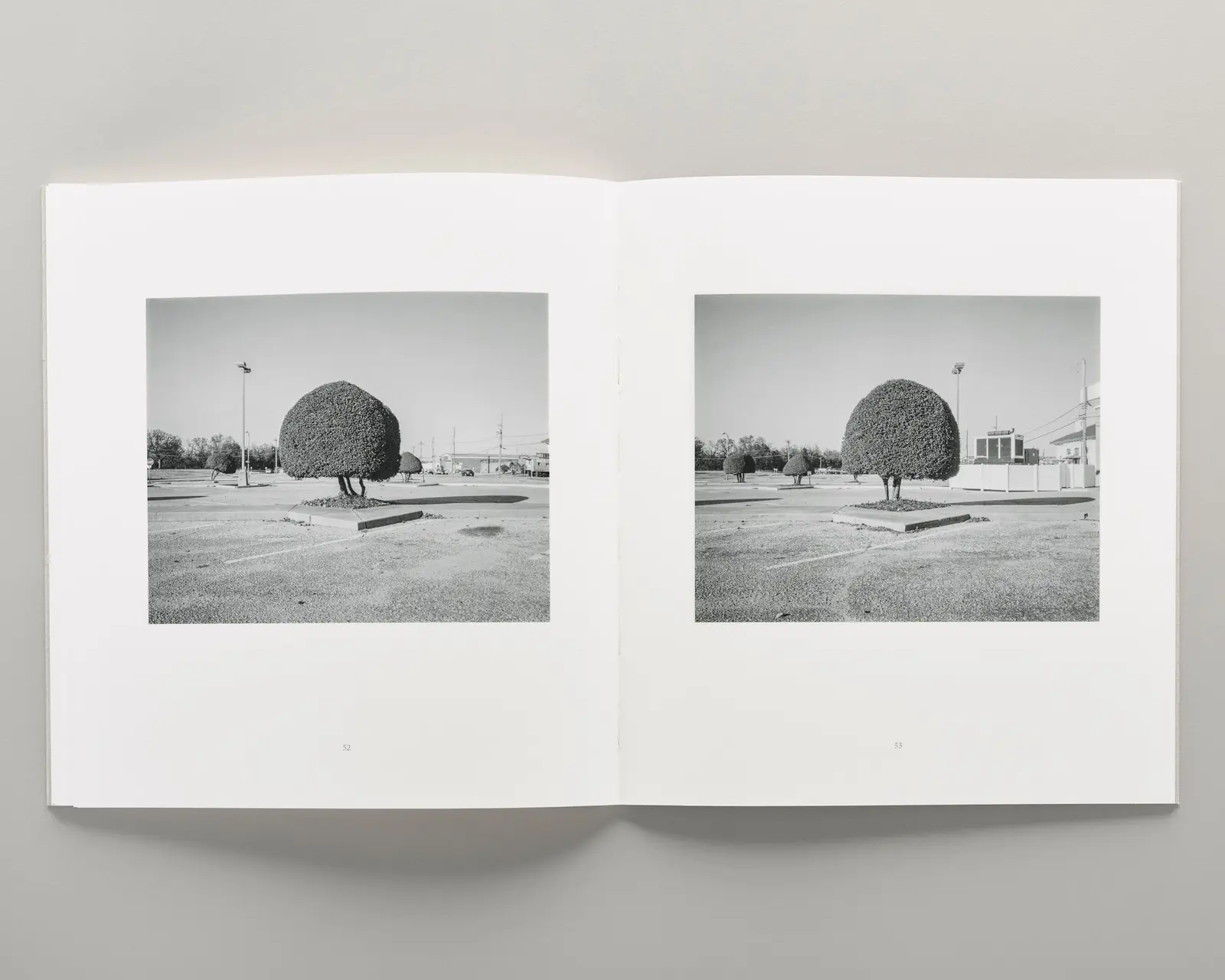 Democratic Vistas image 8