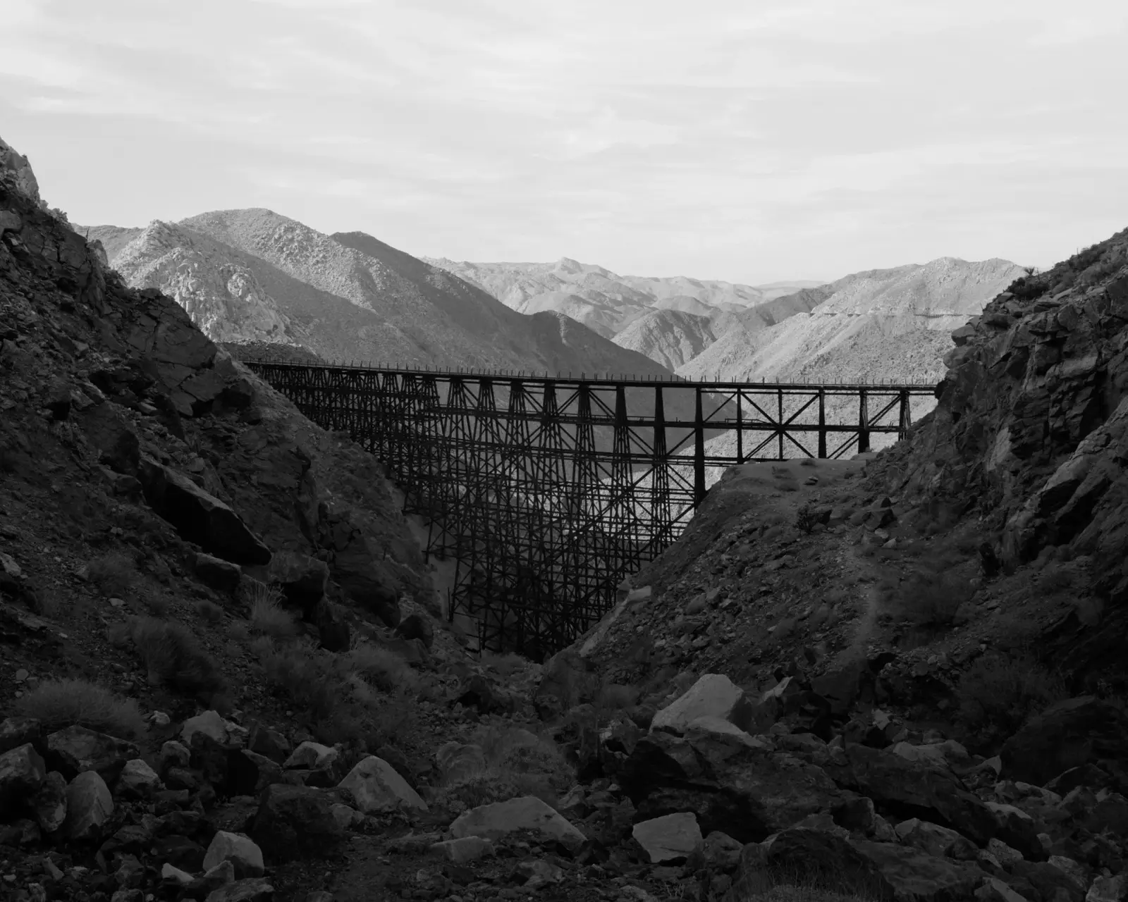 Sons of the Living image 5