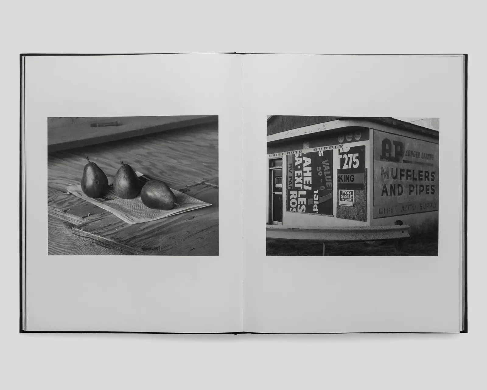 Sons of the Living image 8