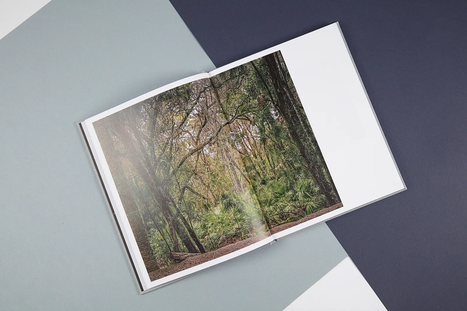 Myths of the Near Future image 3