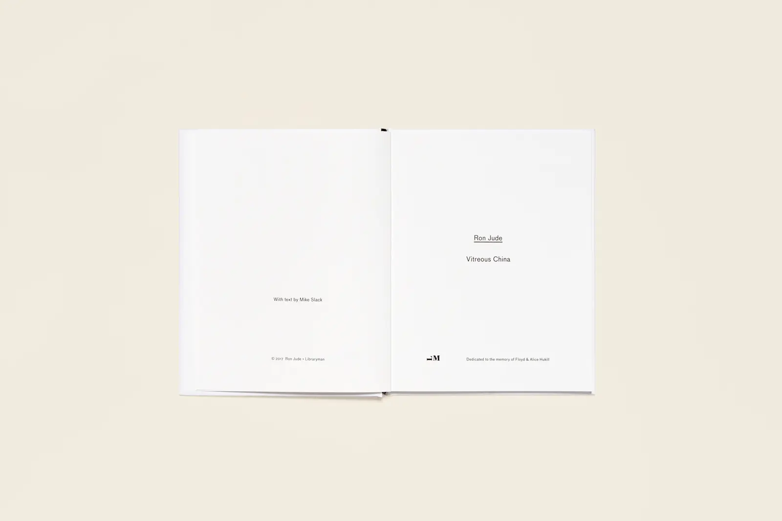 Vitreous China image 2