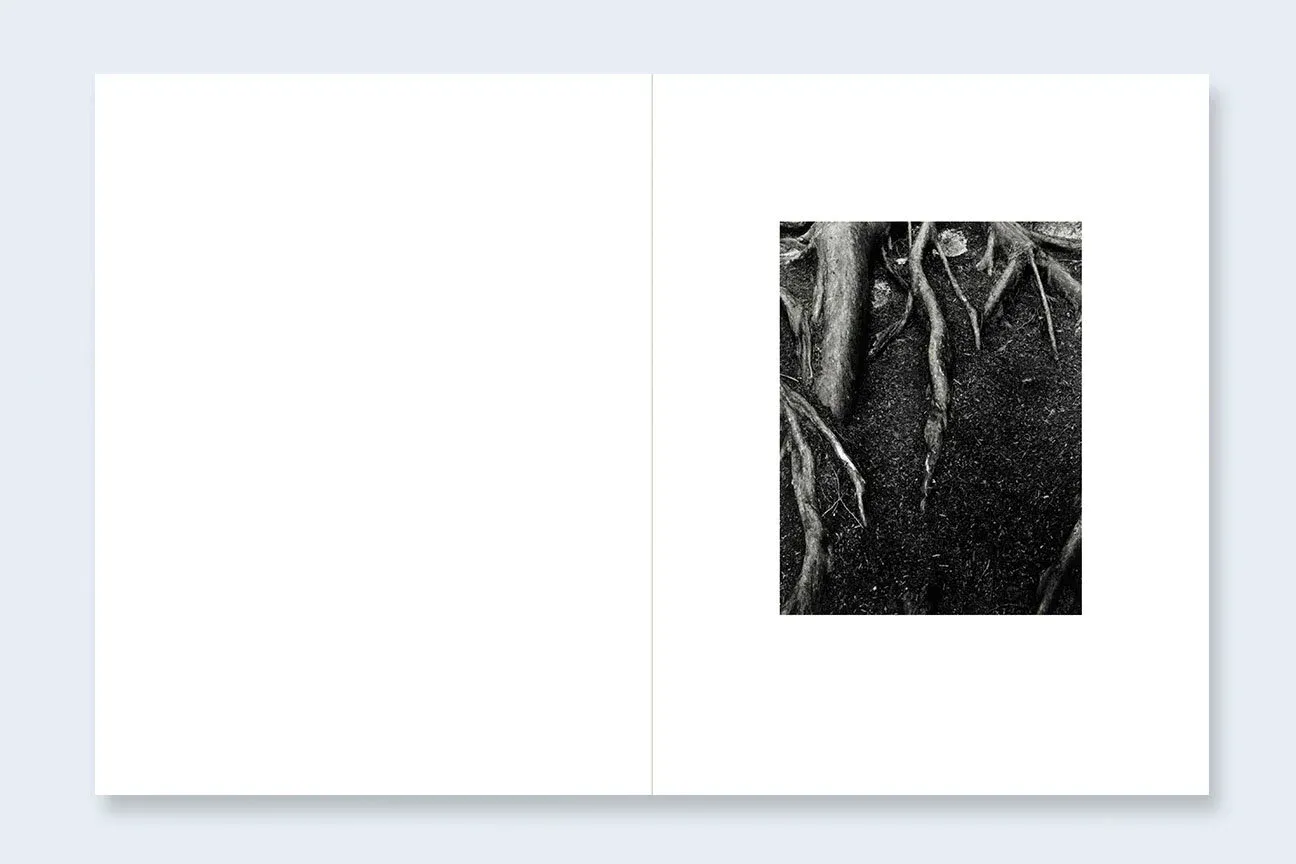 Where Ravens Cry image 5