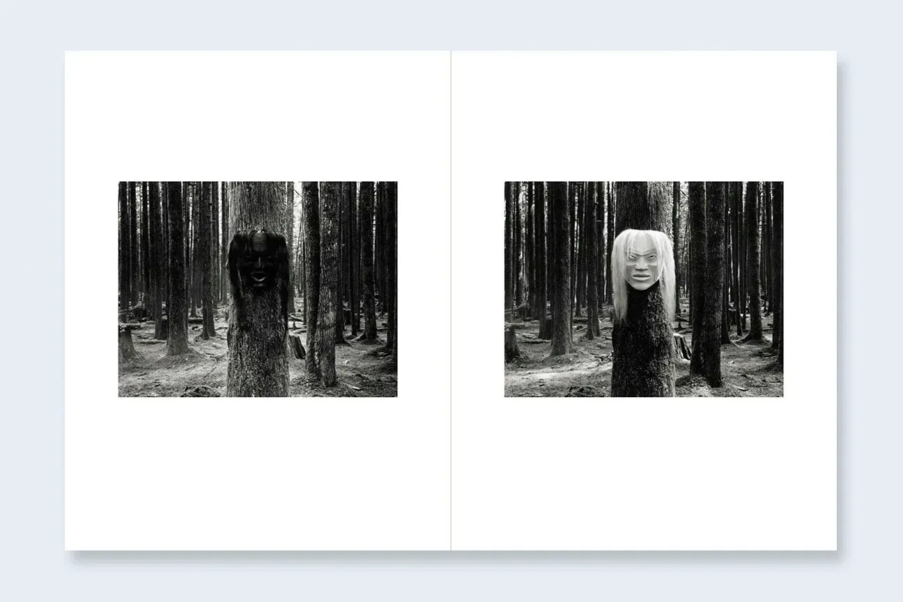 Where Ravens Cry image 6