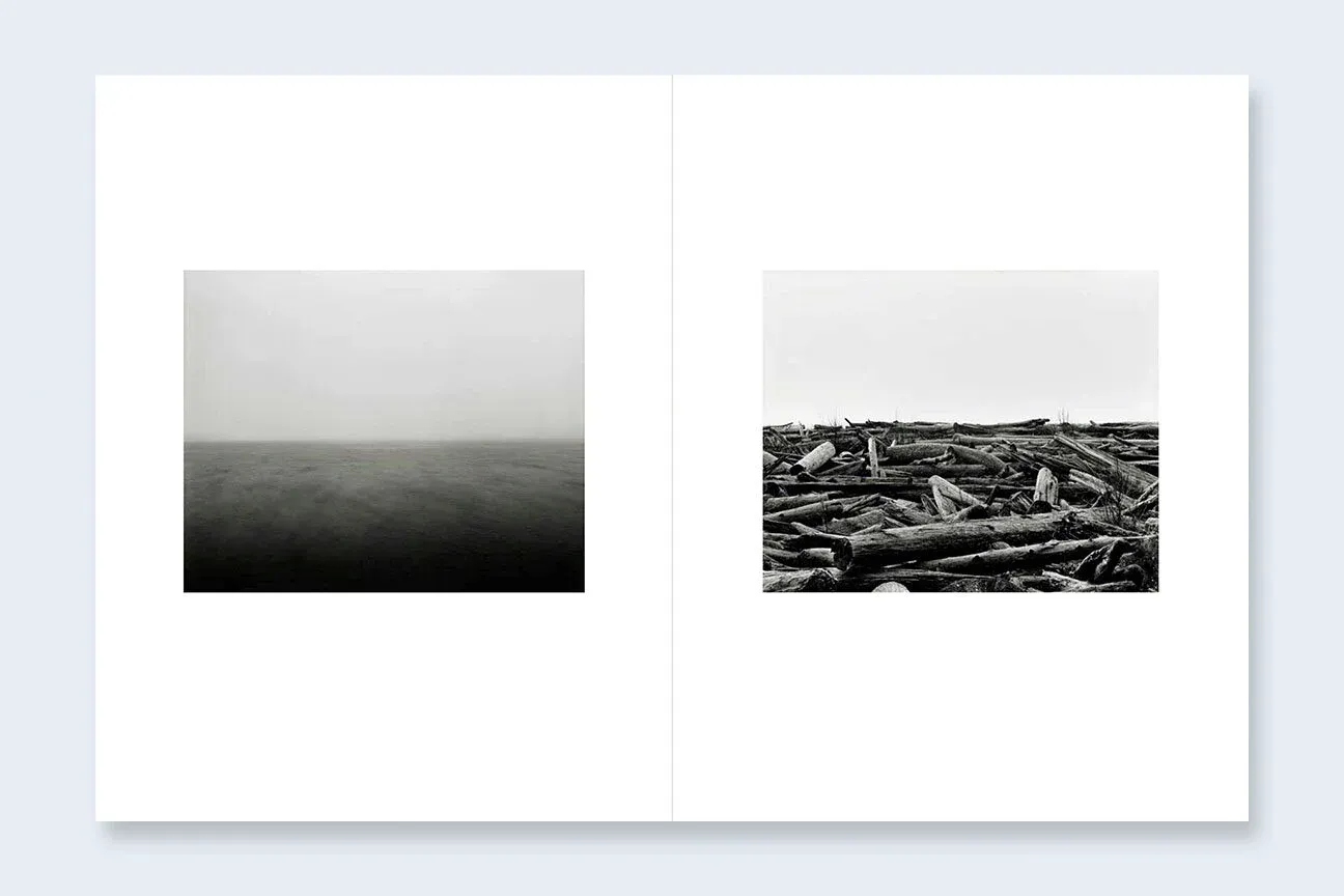 Where Ravens Cry image 9