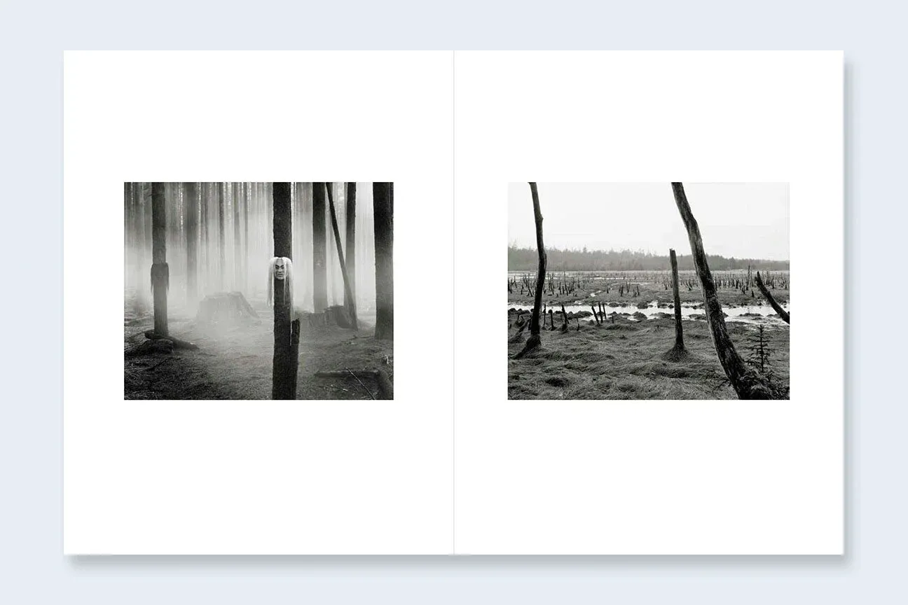 Where Ravens Cry image 10