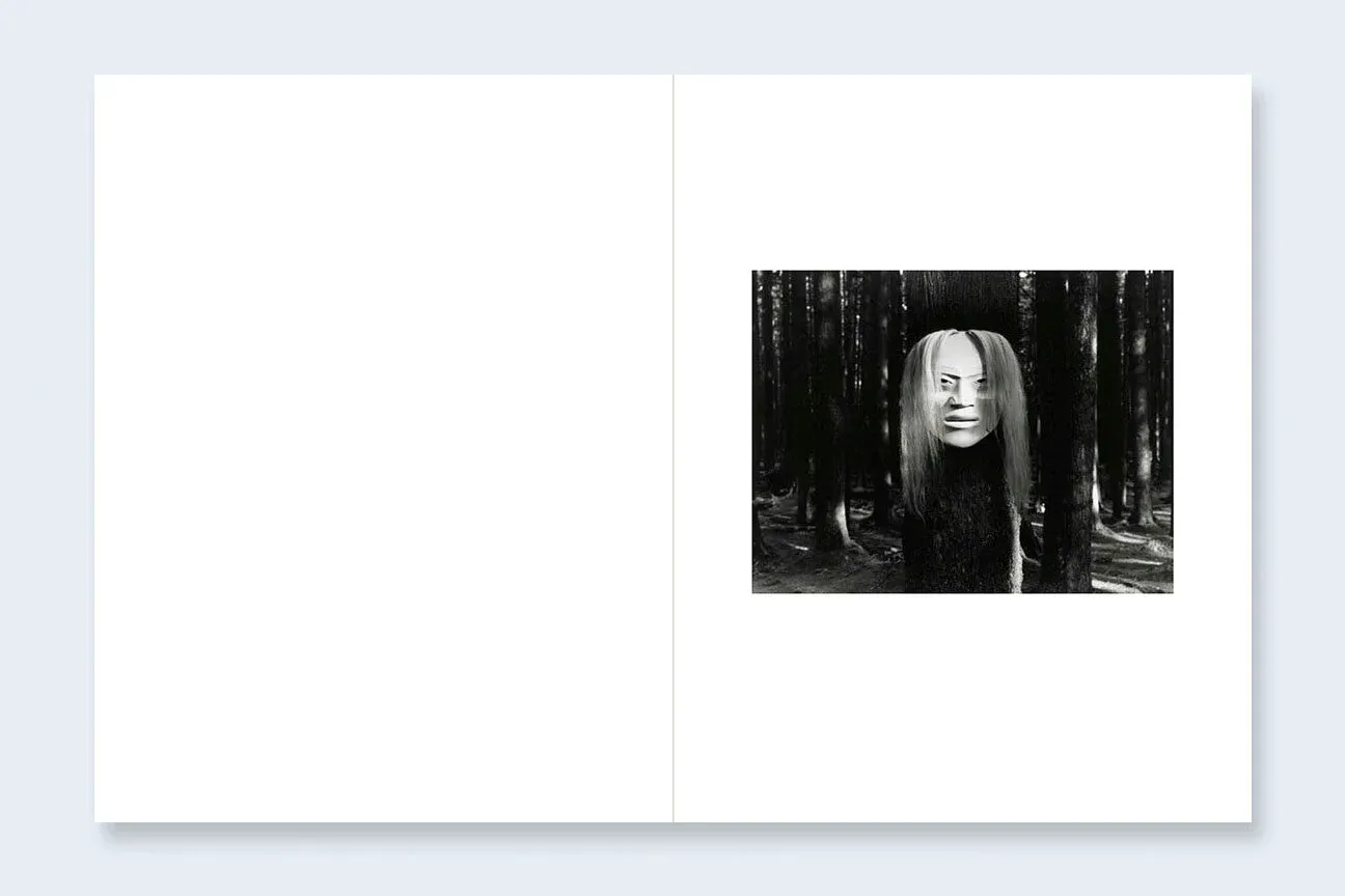 Where Ravens Cry image 11