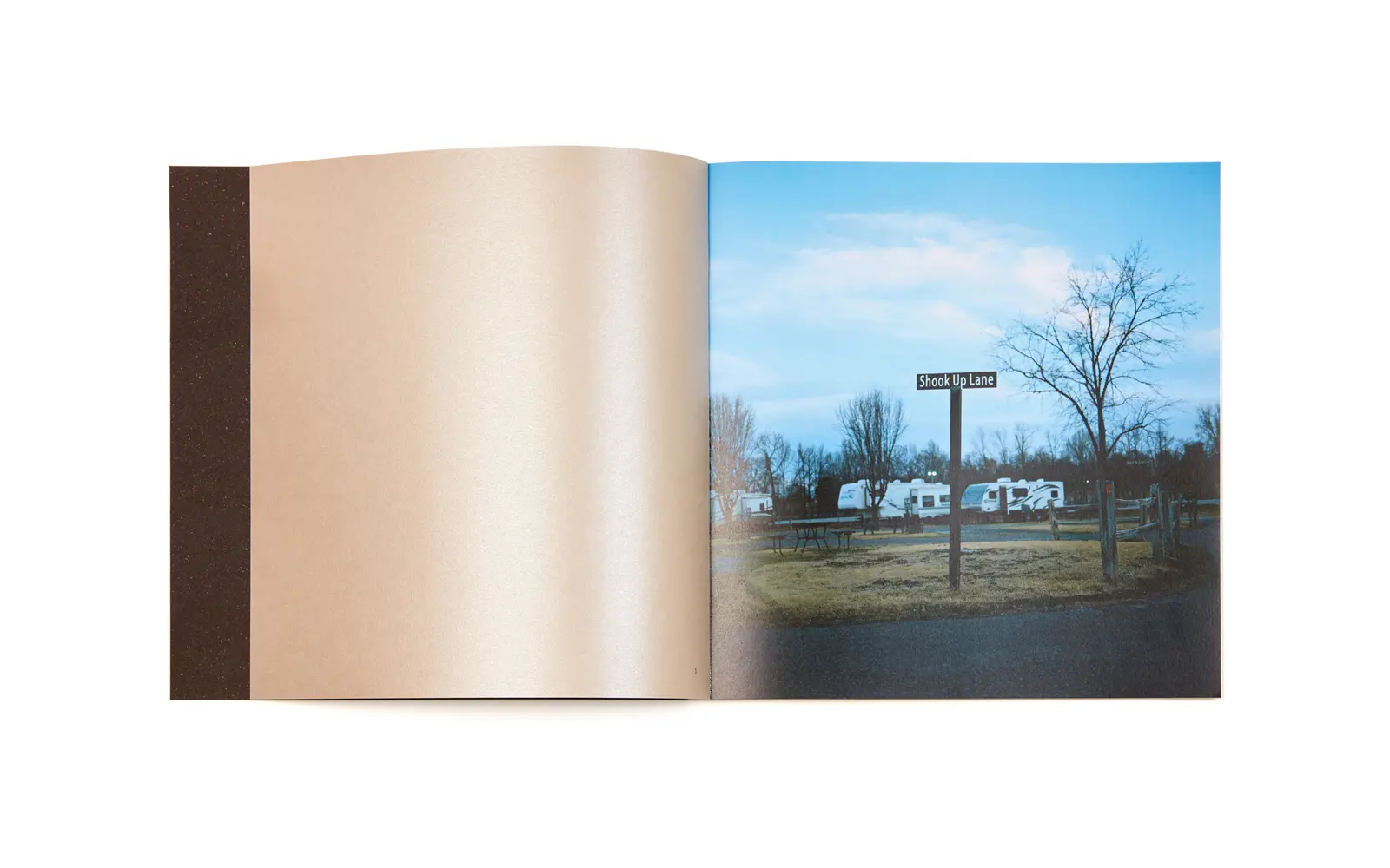 I called her Lisa-Marie image 2