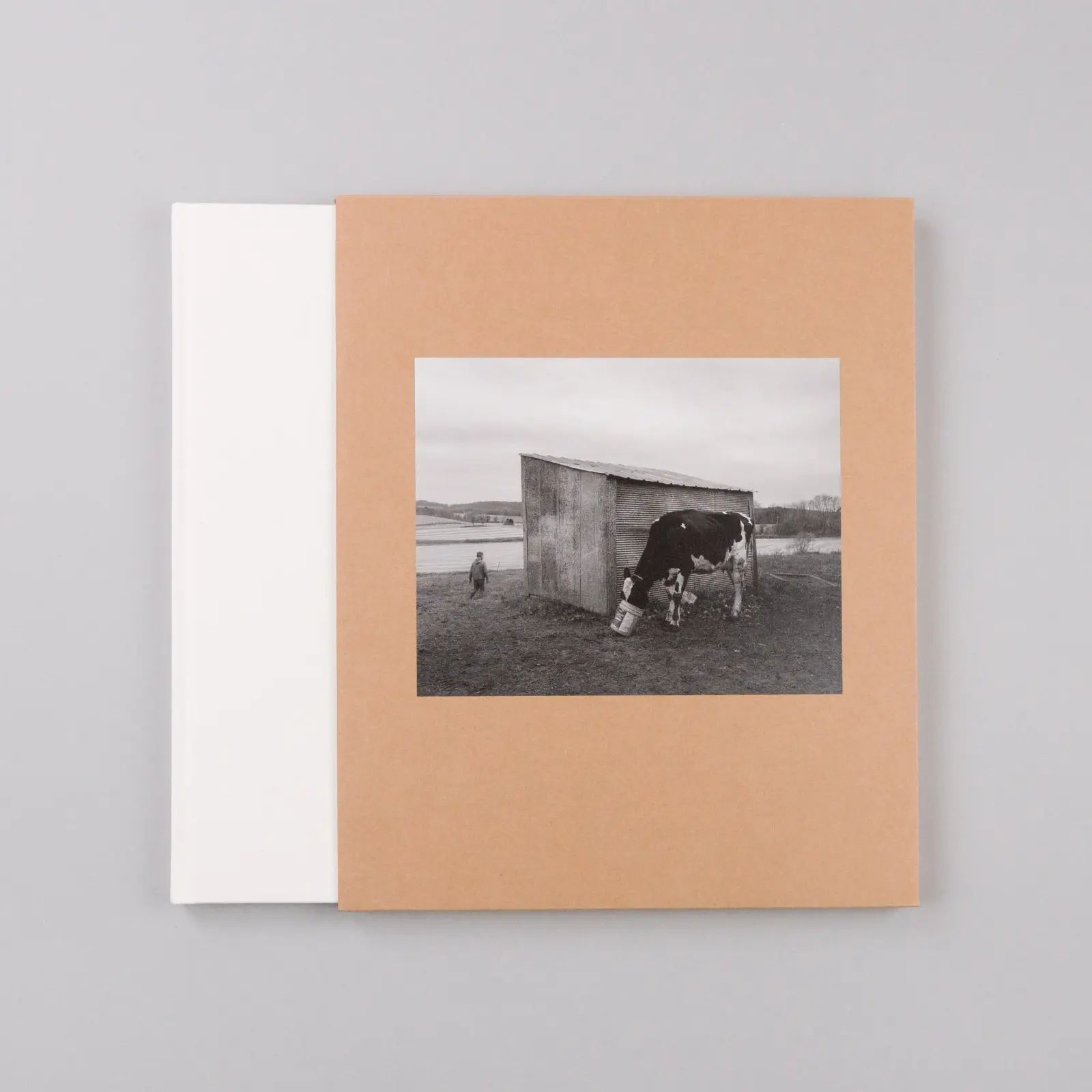 Dormant Season image 2