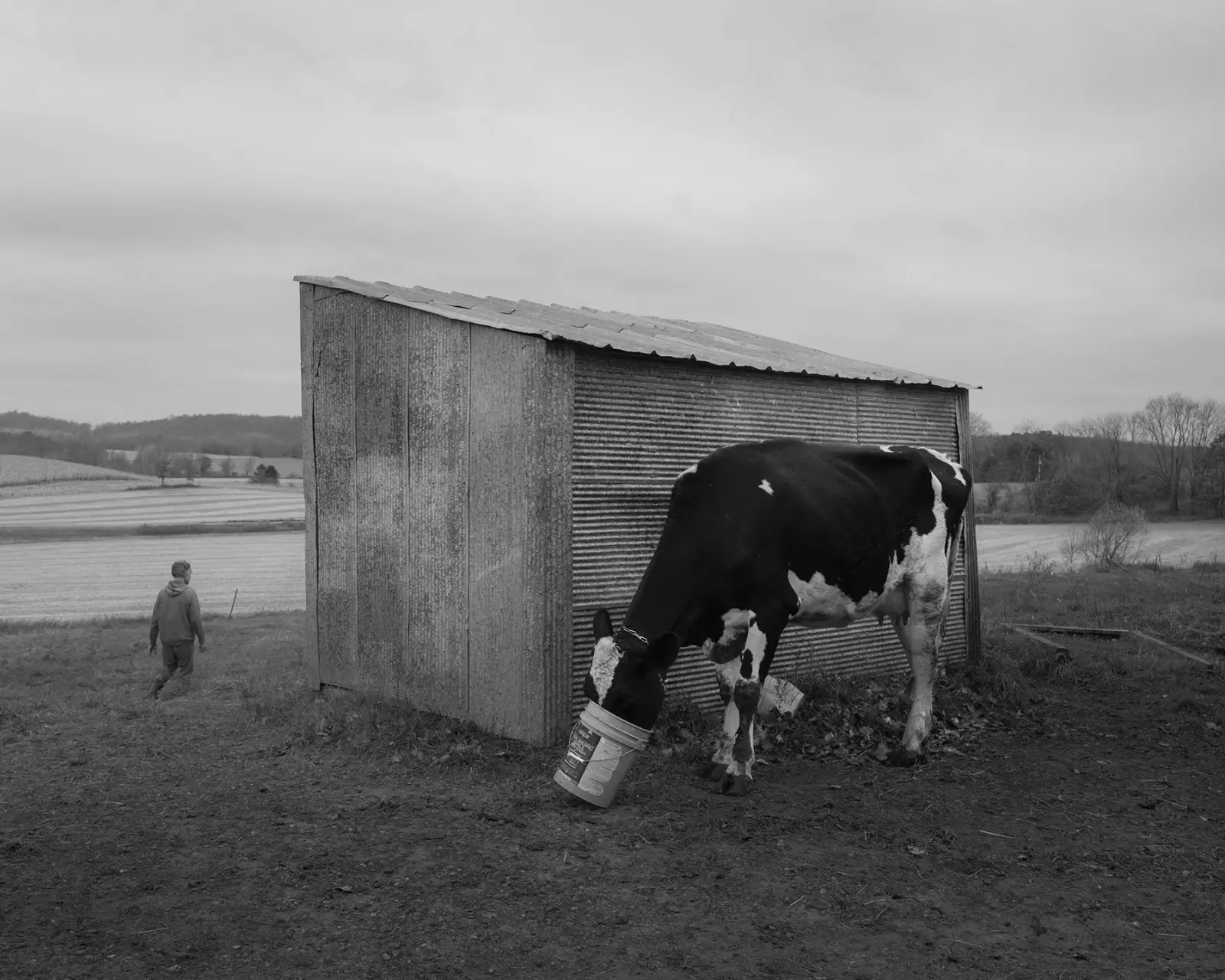 Dormant Season image 4