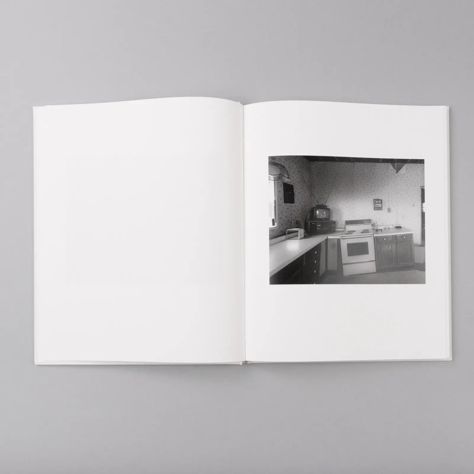 Dormant Season image 5