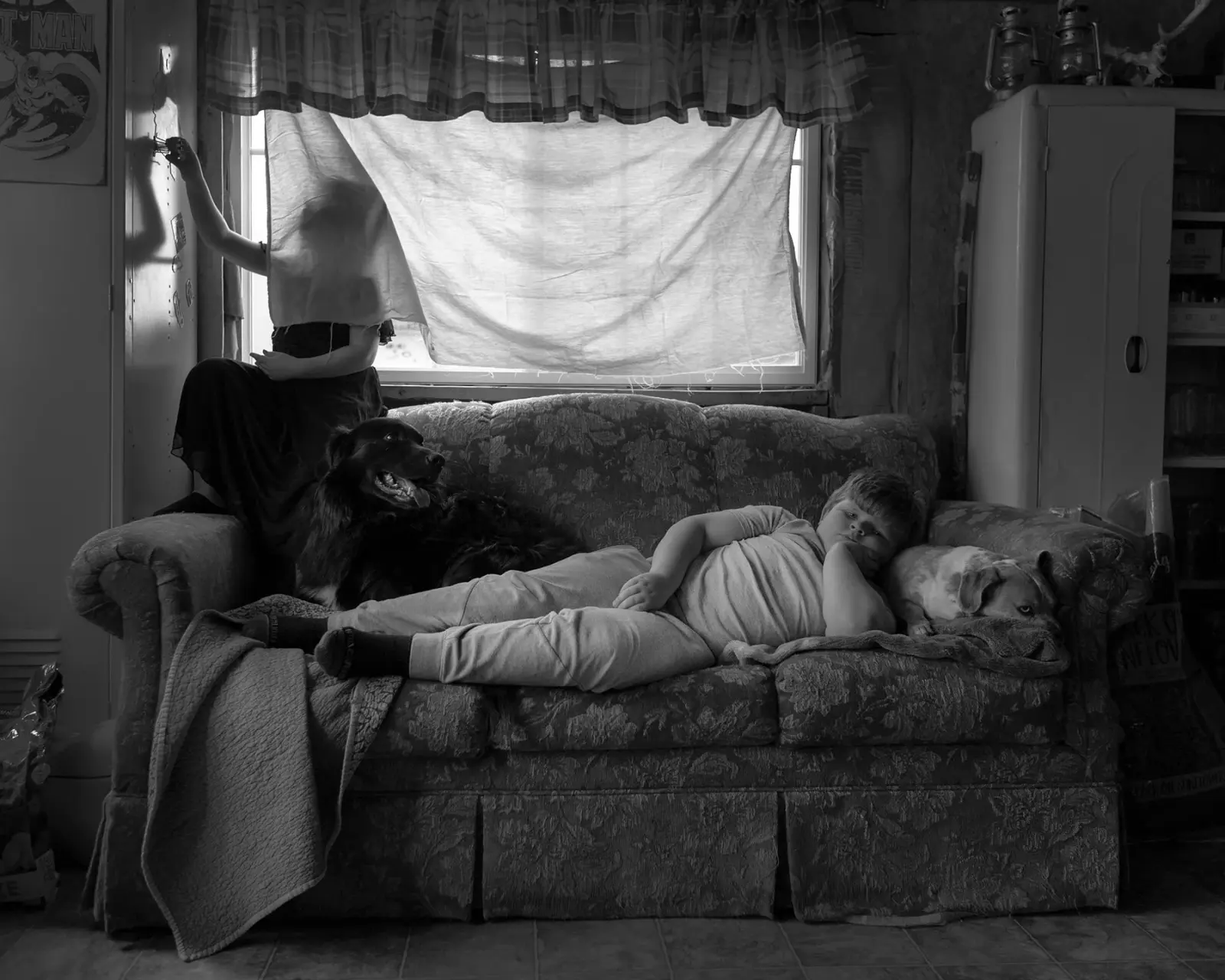 Dormant Season image 6