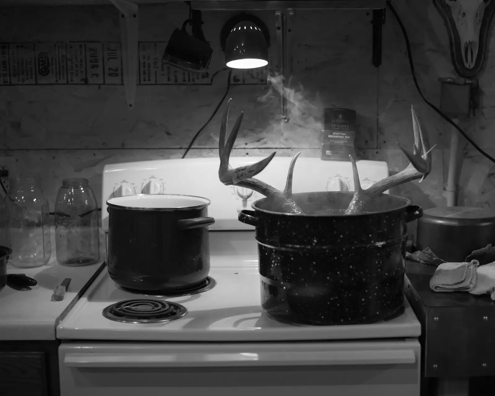 Dormant Season image 7