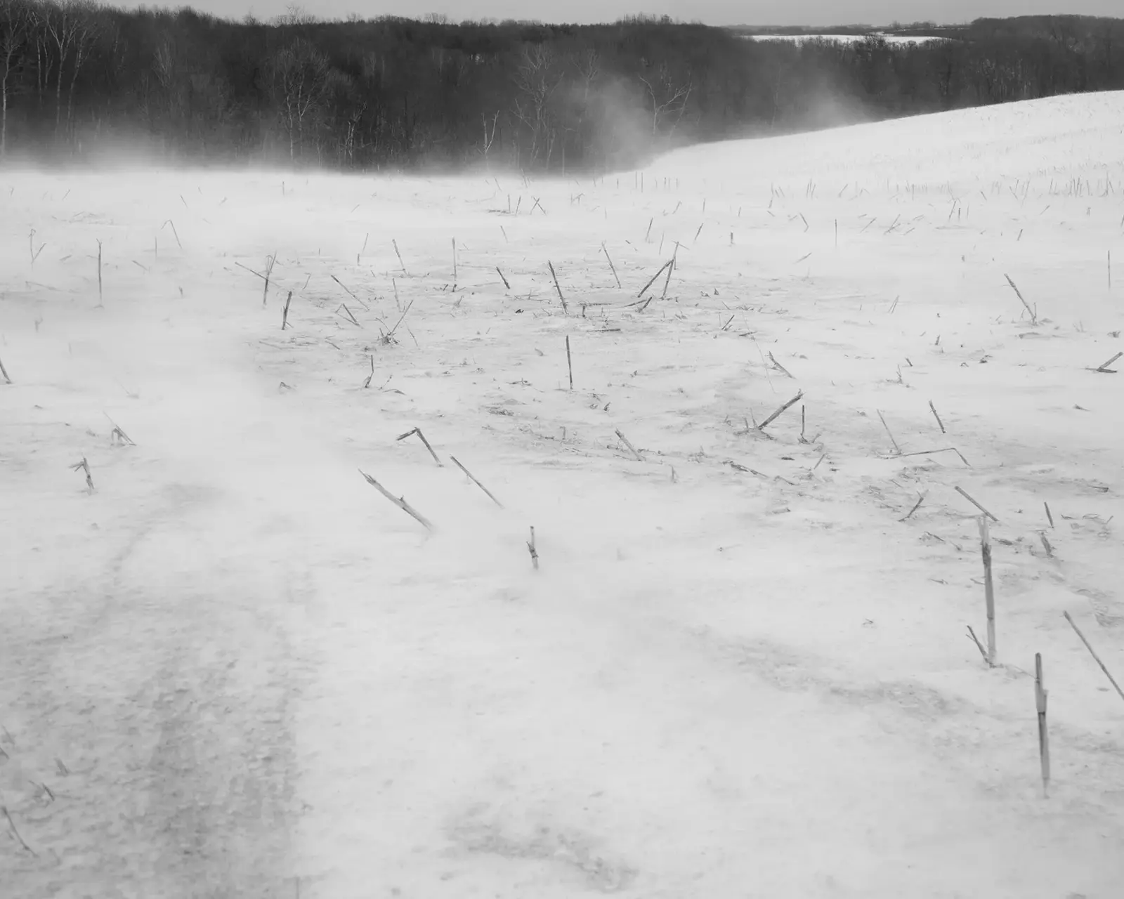 Dormant Season image 9