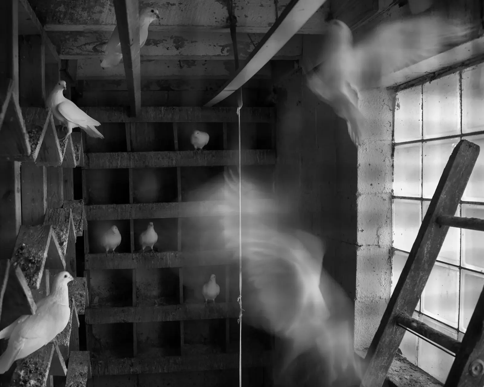 Dormant Season image 10