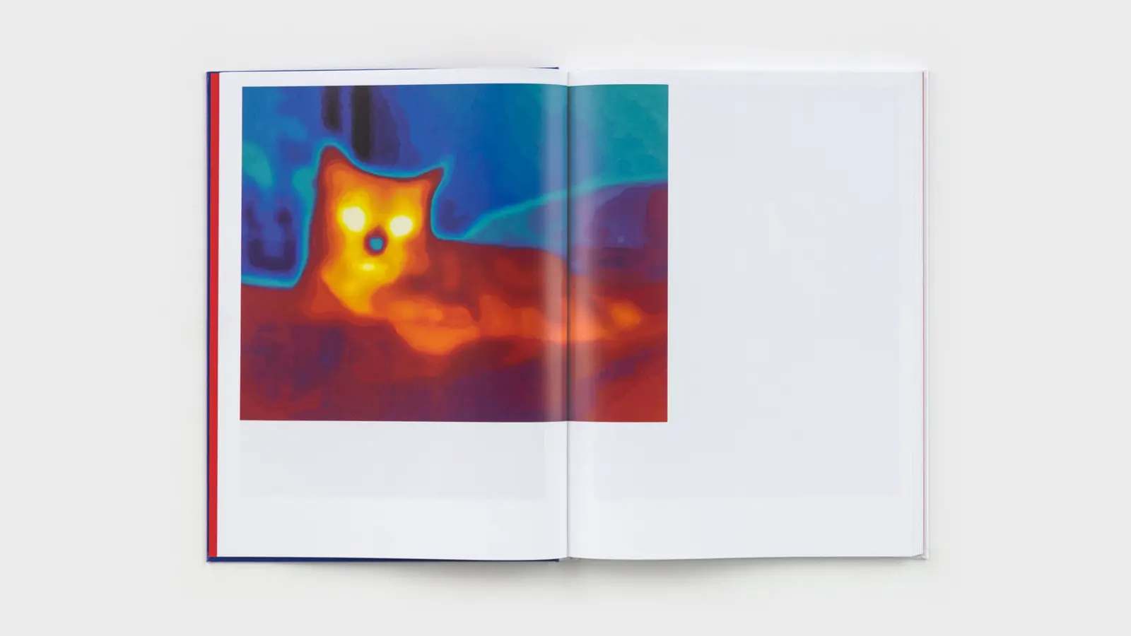 Local Warming image 5