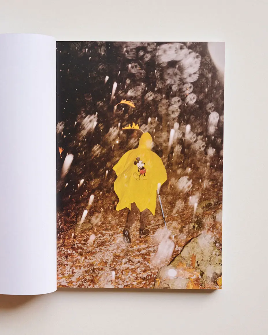 Pray to Be A Bird image 2