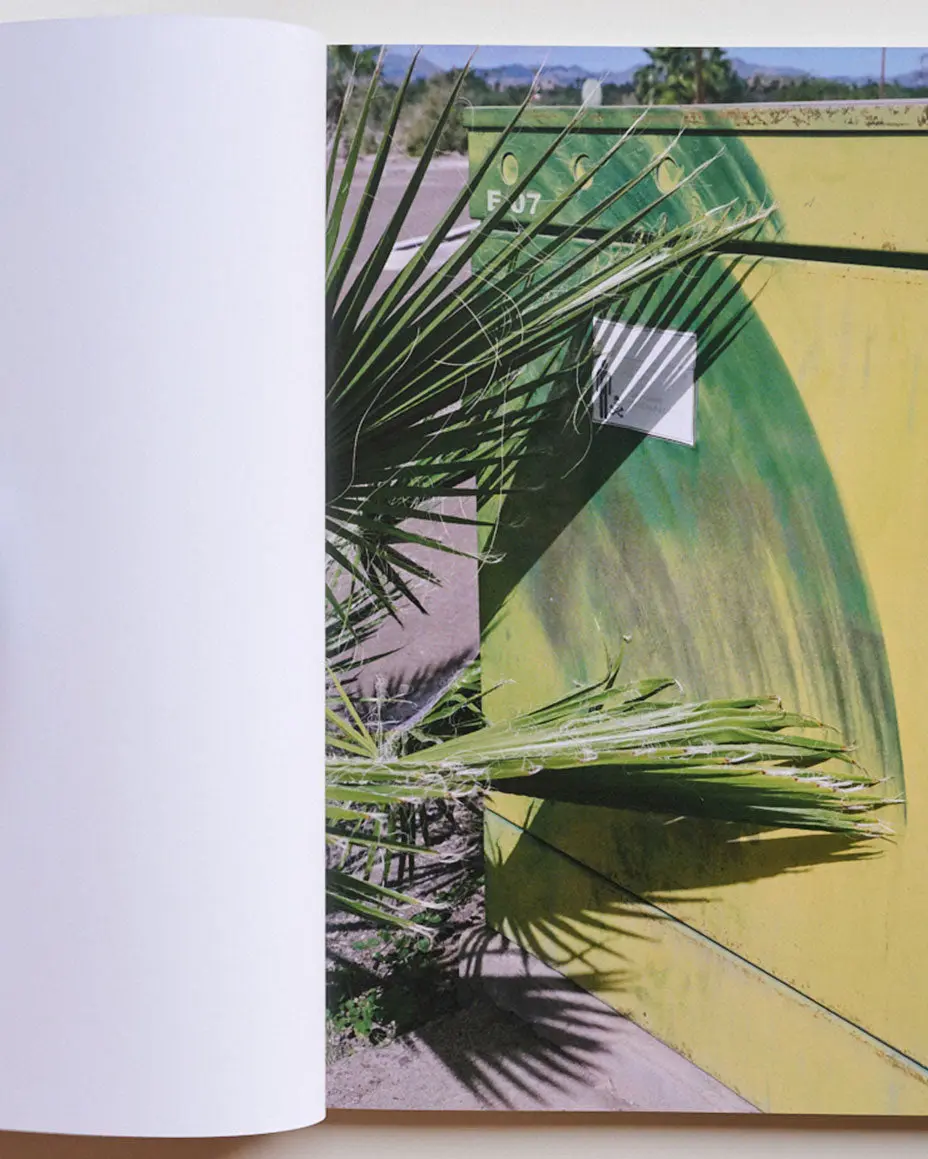 Pray to Be A Bird image 5